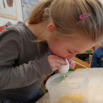 Eier wurden ausgeblasen.