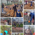 Fleißige Helfer 09.11.22 Fleißige Helfer 09.11.22