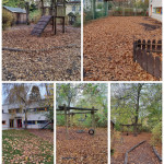 Vor dem Herbstputz! Vor dem Herbstputz!