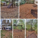 Vor dem Herbstputz! Vor dem Herbstputz!