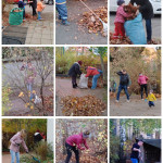 Fleißige Helfer 10.11.22 Fleißige Helfer 10.11.22